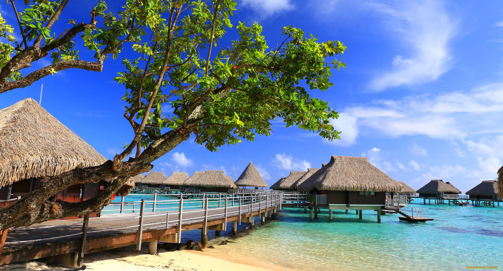 moorea, , , 